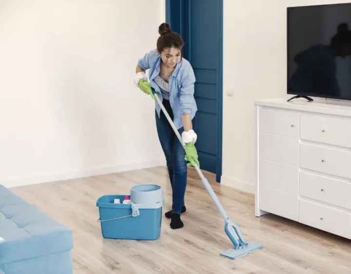 Femme de ménage Le Teilleul